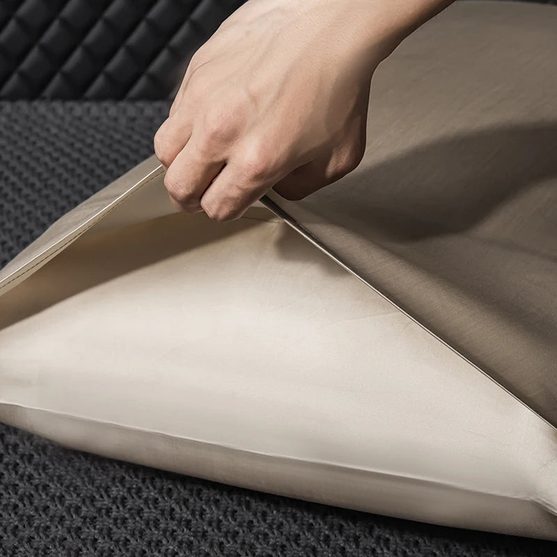 100% Natural Mulberry Silk Pillow Case